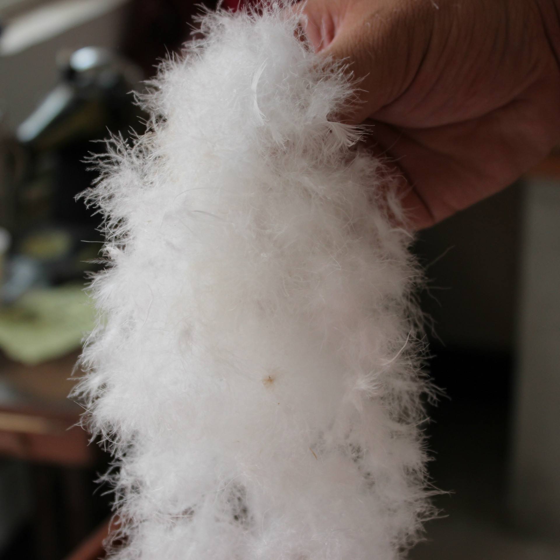 廠家直銷內銷吊絨90白鴨絨 高蓬松羽絨制品填充物與批發市場解析